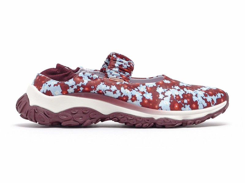 Closed shoe 