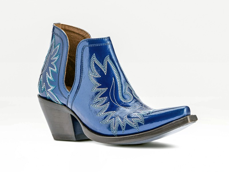 Botas / botinetas vaqueras