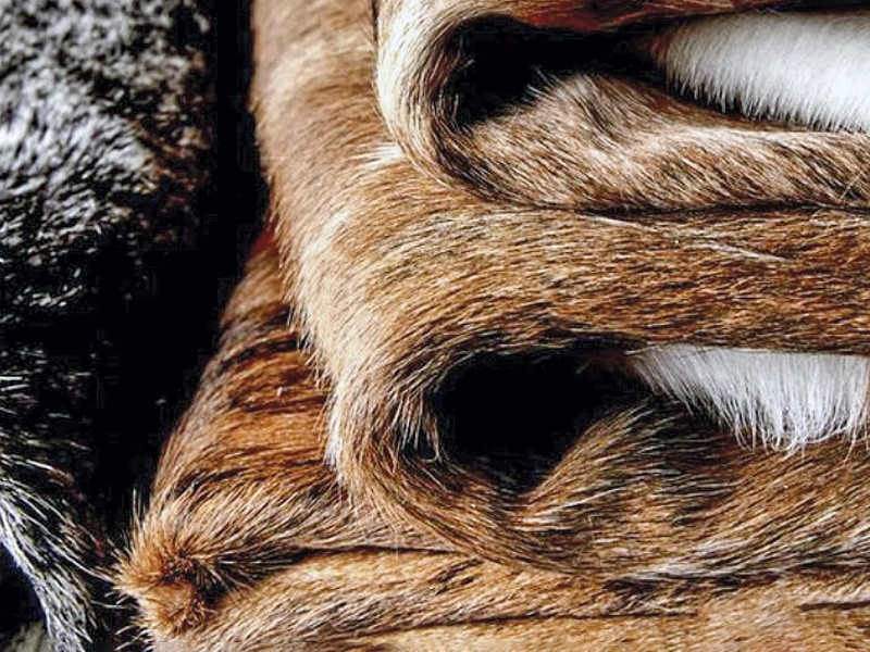 Materials Fall/Winter 2026