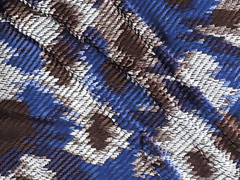 Materials Fall/Winter 2026