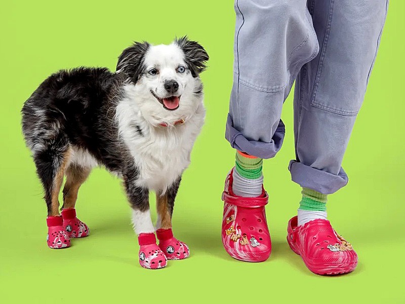 Zapatos para perros: El último invento de  CROCS