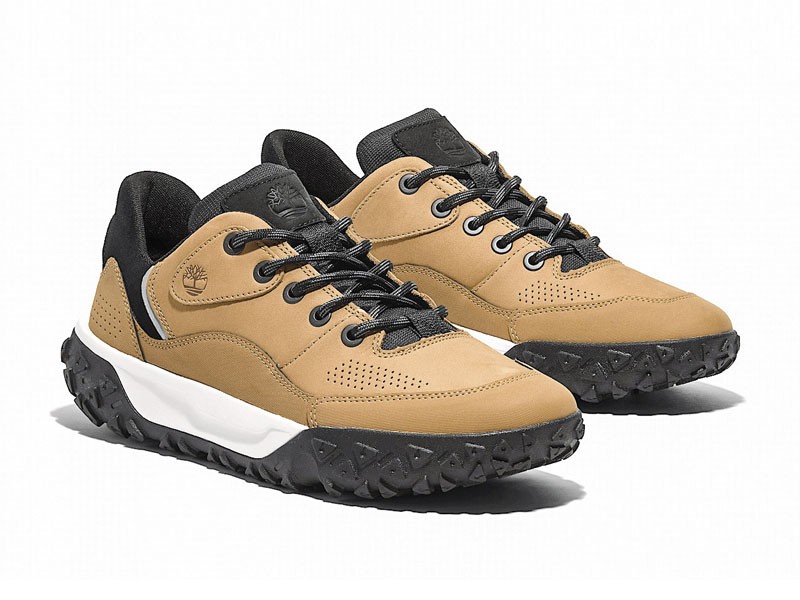 Sneakers urbanas