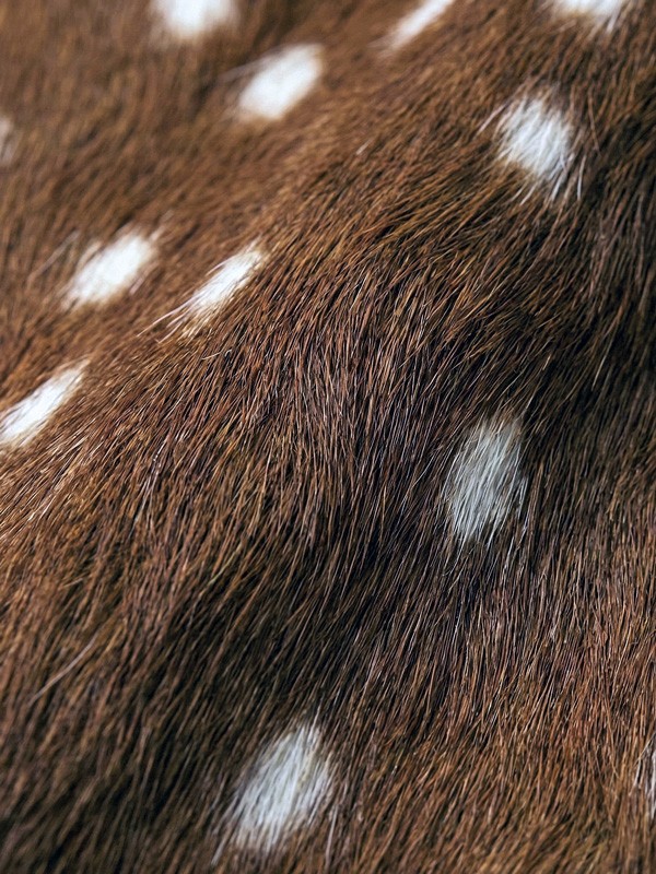 Animal print migra a botas y detalles utilitarios