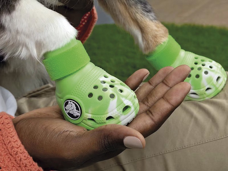 Zapatos para perros: El último invento de  CROCS