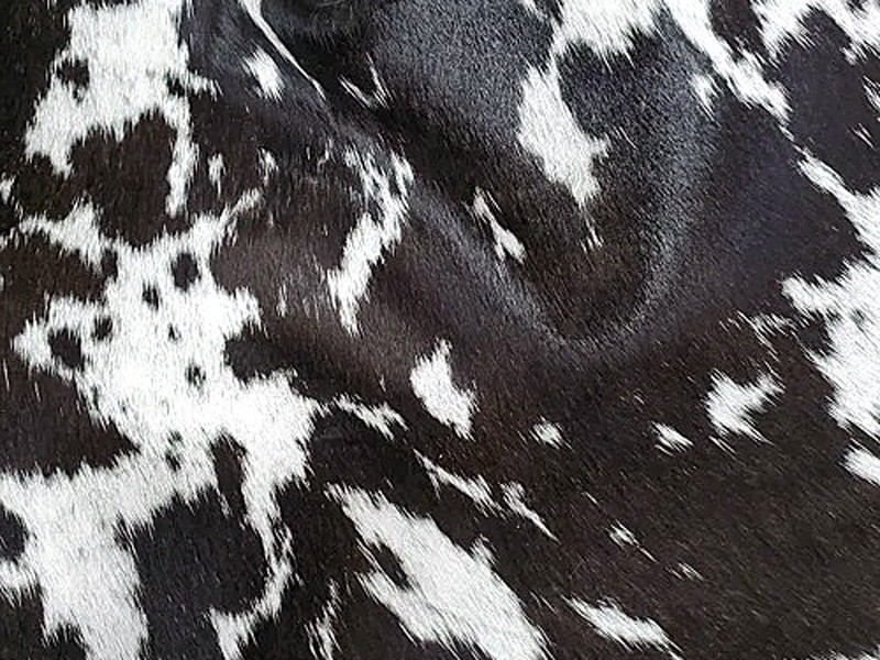 Materiales Otoño/Invierno 2026