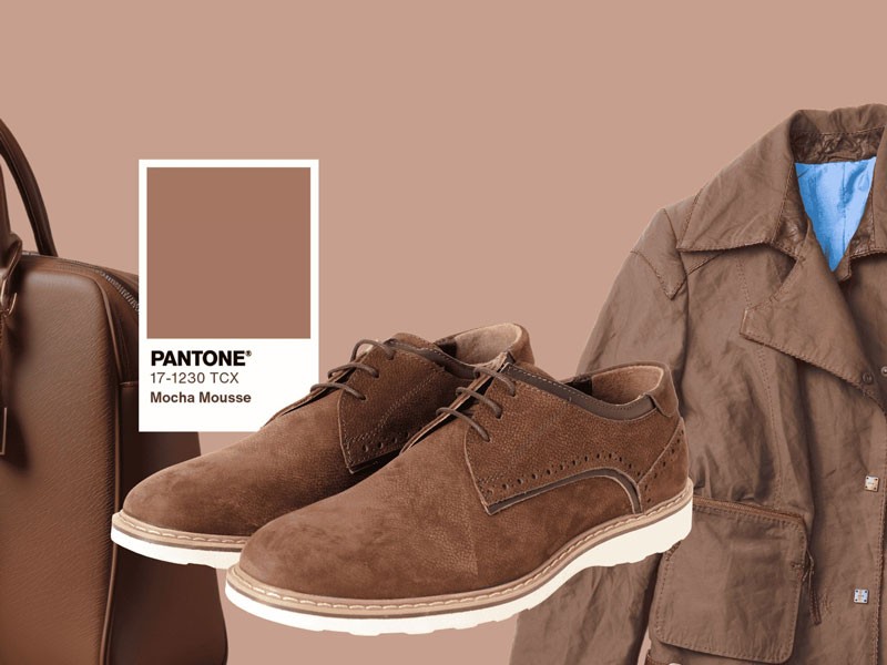 Color of the year 2025: The delicious MOCHA MOUSSE by Pantone