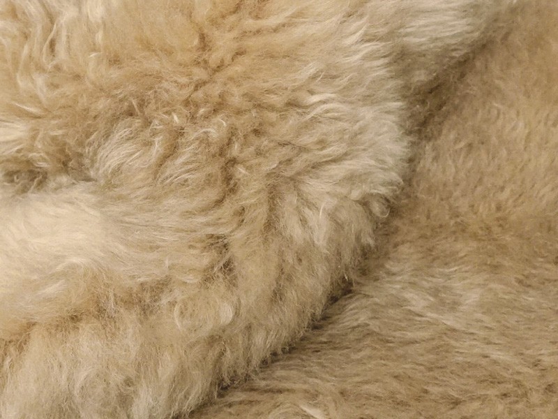 Materials Fall/Winter 2026