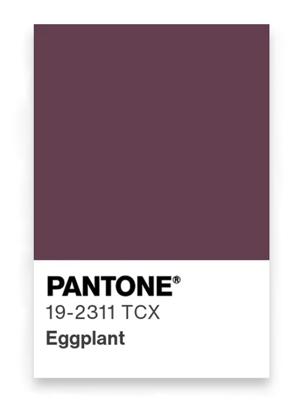 FOTO-3.-BERENJENA.jpg The favorite color for next winter 2027