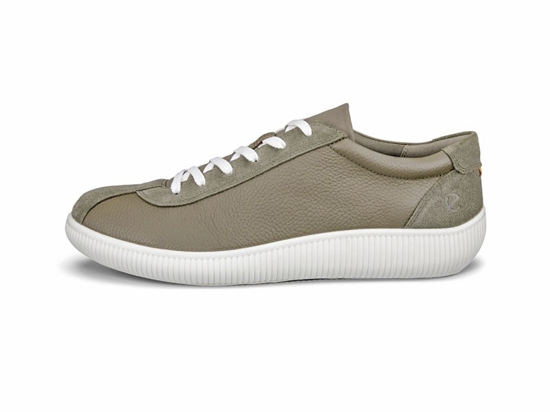 Sneakers clásicas