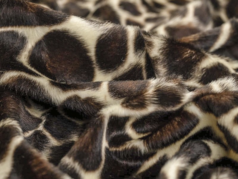 Materiales Otoño/Invierno 2026